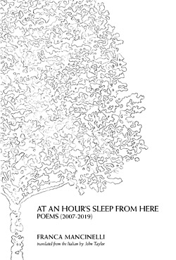 Enlarged view of image
