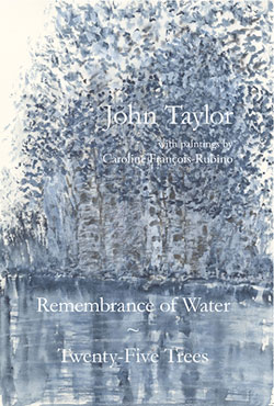 Remembrance of Water by John Taylor